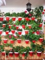 Wall of Flower Pots
Picture # 2544
