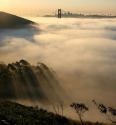 San Francisco in Fog
Picture # 3615
