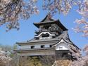 Castle of the City of Inuyama
Picture # 3138
