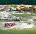 Rafting on the Ocoee River
Picture # 731

