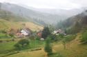 German Countryside in the Rain 1
Picture # 341
