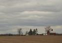Red Barns before the Frist Snowfall
Picture # 1925
