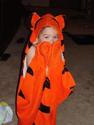 Tigger Toweled
Picture # 2233
