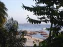 Coast of Zanzibar
Picture # 3063

