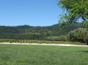 Vineyard in the Napa Valley
Picture # 3603
