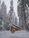 Winter Cabin
Picture # 3589
