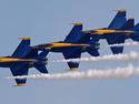 Blue Angels
Picture # 1425
