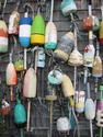 Boat Buoys
Picture # 1229
