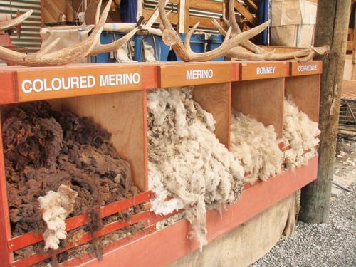 Daily photo - Wool Display at Walter Peak Station