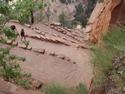 Switchbacks on Angels Landing trail
Picture # 3202
