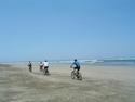Four Bikes on Sand
Picture # 2088
