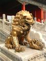 Female lion, Forbidden City
Picture # 1130
