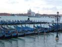 Venetian Gondolas
Picture # 1481
