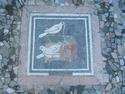 Pompeii
Picture # 1509
