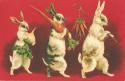 Three Rabbits
Picture # 3572
