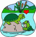 Turtle Love
Picture # 1563
