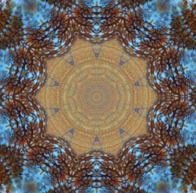Daily photo - Kaleidoscope