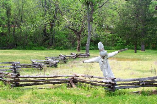 Daily photo - Abandoned Scarecrow and Garden
