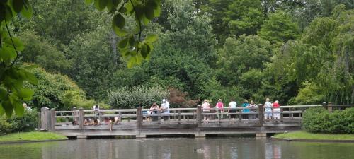 Daily photo - Bridge Over Serene Waters