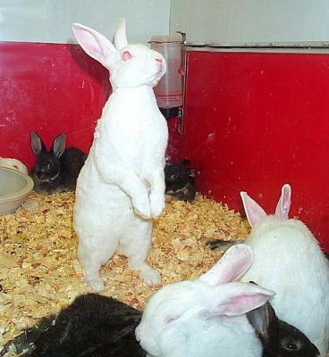 Daily photo - Where is the magician?