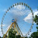 Ferris Wheel
Picture # 518
