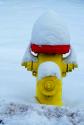 Snow Capped Hydrant
Picture # 548

