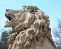 Library Lion
Picture # 571
