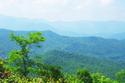 Spring in the Appalachian Mountains
Picture # 735
