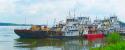 Tugboats at Paducah Shipyard
Picture # 739
