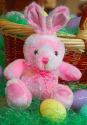 Pink Easter Bunny
Picture # 1145
