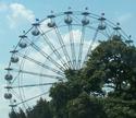 Giant Ferris Wheel
Picture # 1264
