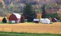 Fall Colors on the Farm
Picture # 2301
