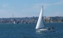 Sailing in San Diego Bay
Picture # 3738
