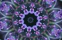 Kaleidoscope in Purple
Picture # 3155
