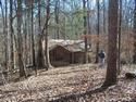 Old Log Cabin in Woods
Picture # 2944

