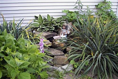 Daily photo - The Fairies Garden