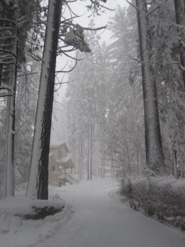 Daily photo - Yosemite in Winter