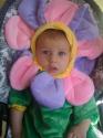 Flower Baby
Picture # 3626
