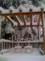 Snow on the Veranda
Picture # 3586
