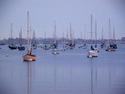 Sailboats at Sunrise
Picture # 1173
