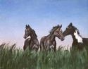 Three Horses
Picture # 3365
