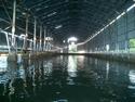 boat hanger
Picture # 1383

